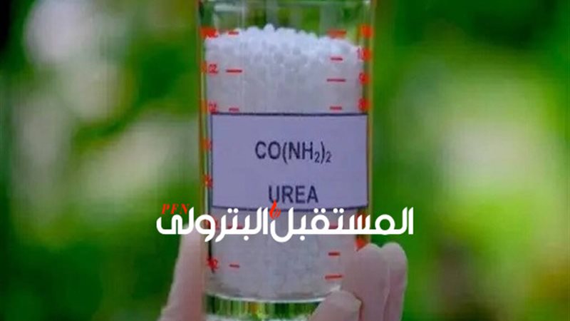 المستقبل اليوم
