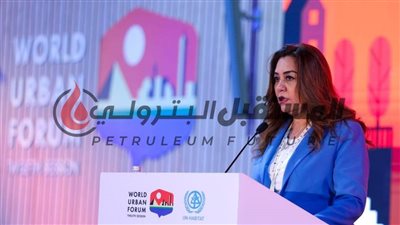 وزيرة التنمية المحلية : الدولة المصرية حريصة على دعم جهود التنمية المستدامة وتحقيق الأهداف الأممية