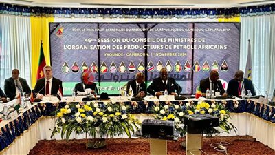 Egypt Participates in APPO Ministerial Meeting in Cameroon to Address Africa’s  Energy Future