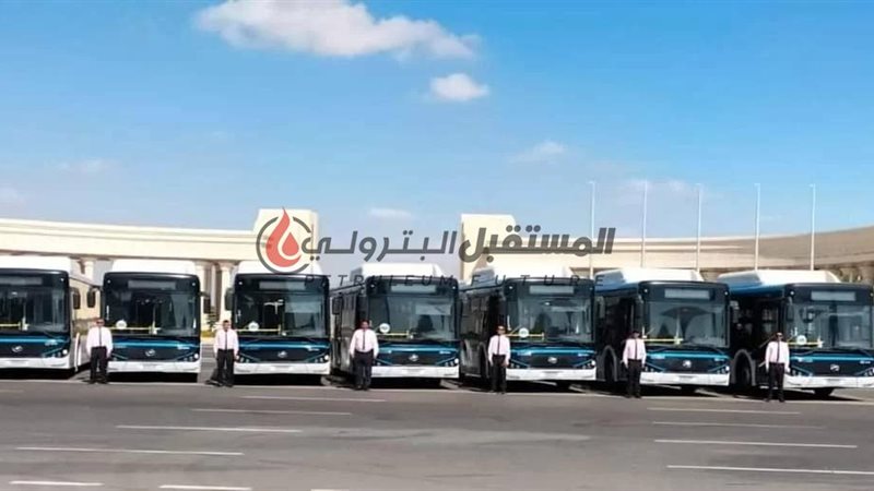 صورة من منصة الطاقة