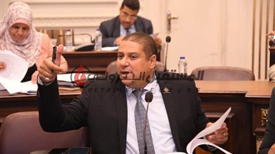 النواب يوافق نهائياً على مشروع النائب محمد إسماعيل بتحويل هيئة الثروة المعدنية لهيئة إقتصادية