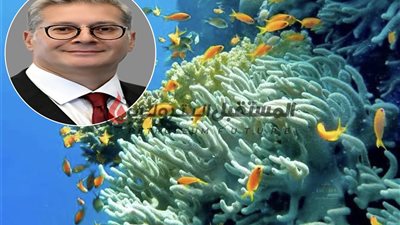 وزير البترول و20 قيادة يفتتحون مشروع الشُعب المرجانية