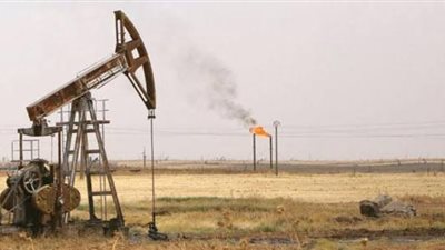 عجيبة تنجح في الوصول للمربع صفر فى حرق غازات الشعلة بمليحة