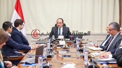 الشيمى: يتابع موقف مشروع إقامة مجمع صناعي لرفع تركيز خام الفوسفات وصناعة الأسمدة الفوسفاتية