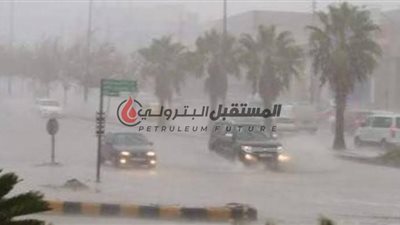 الأرصاد : الأمطار تضرب القاهرة اليوم و 15 محافظة .. تعرف على حالة الطقس