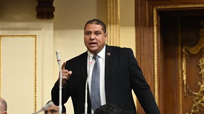 محمد إسماعيل: إبريل سيكون شهر التعدين للدولة المصرية