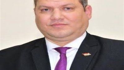 سعيد عبدالمنعم رئيساً لشركتي ثروة للبترول وثروة بريدا