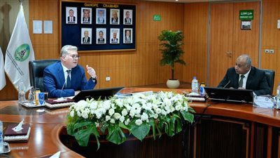 أشرف بهاء: جنوب أنتجت 12 مليون برميل و2.2 مليار قدم مكعب غاز مصاحب