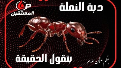 دبة النملة وكواليس القطاع