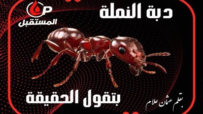 ترشيح 3 قيادات لرئاسة “بتروبل” خلفًا للمهندس خالد موافي