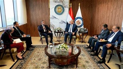 مصر والإمارات يستعرضان تجربة إطلاق مشروع لإنتاج وقود الطائرات المستدام