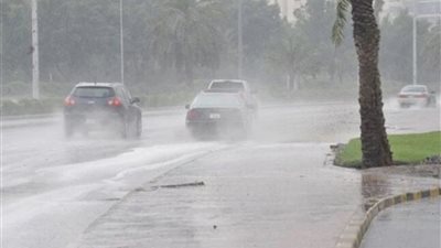 حالة الطقس اليوم الأحد 28 ديسمبر.. انخفاض بالحرارة وشبورة وأمطار