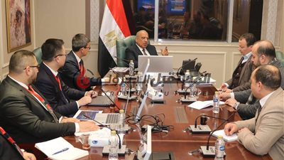 وزير الكهرباء والطاقة المتجددة يبحث مع مجموعة صاني 