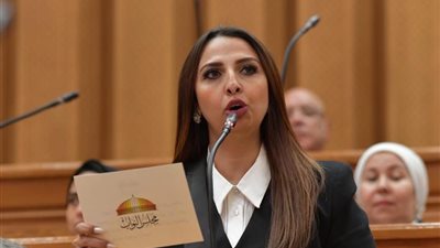 نشوى الشريف تتقدم بطلب إحاطه لإنصاف الموظفين المتضررين من القانون 73