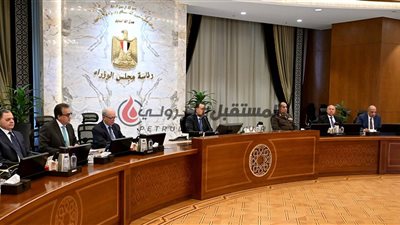 مدبولى : الحكومة تعمل على تنفيذ توجيهات الرئيس بضرورة توفير وإتاحة احتياجات القطاعات الإنتاجية والخدمية من الطاقة 