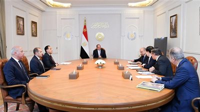  السيسي يبحث مع «GCL الصينية» التعاون في مجال الطاقة المتجددة