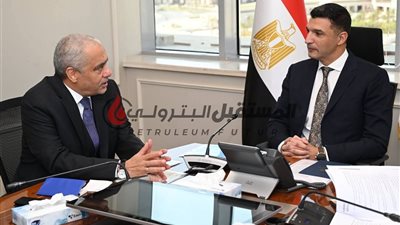 وزير الصناعة يبحث مع مجموعة العربي خطة إقامة توسعات جديدة بقيمة 480 مليون دولار بمدينة قويسنا 