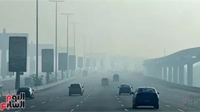 الطقس اليوم.. استمرار ارتفاع الحرارة وشبورة صباحا والصغرى بالقاهرة 11 درجة