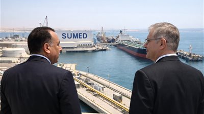 غداً: مدبولي وبدوي و23 قيادة يتفقدون ميناء سوميد بالسخنة