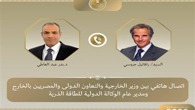 مدير وكالة الطاقة الذرية يشيد بجهود مصر للتهدئة وخفض التصعيد في المنطقة