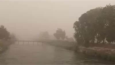 الطقس اليوم دافئ نهارا بارد ليلا وشبورة صباحا والصغرى بالقاهرة 13 درجة