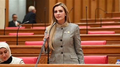 مروة بوريص خلال الجلسة العامة للبرلمان: اتفاقية 