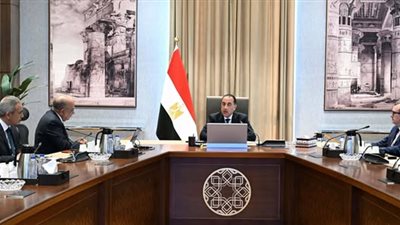 رئيس الوزراء يوجه بسرعة إدخال قدرات إضافية من الطاقة النظيفة على الشبكة القومية