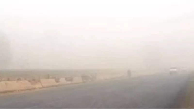 المستقبل اليوم