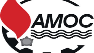 قراءة تحليلية لسهم أموك .. أداء قوى ورؤية استثمارية تدعم التمسك بالأصول المستقرة .