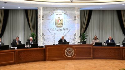 رئيس الوزراء يوجه بضرورة التزام جميع الوزارات بإجراءات الترشيد الحكومي