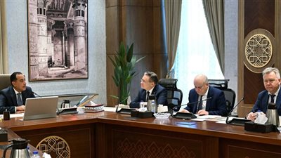 رئيس الوزراء يلتقي المدير العام لـ