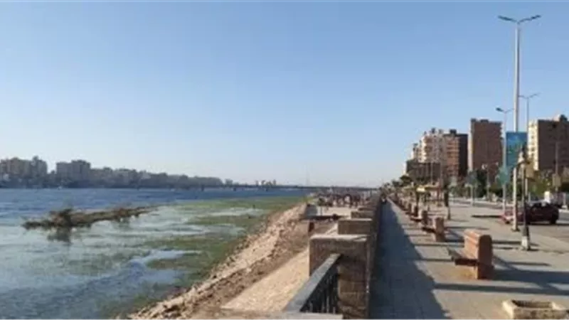 المستقبل اليوم