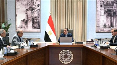 مدبولي يتابع إجراءات توفير التمويل المطلوب لمشروعات الطاقة الجديدة والمتجددة