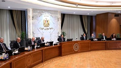 الحكومة تُناقش التحديات الاقتصادية.. ومدبولي يكلف بتأمين المنتجات البترولية والسلع الاستراتيجية