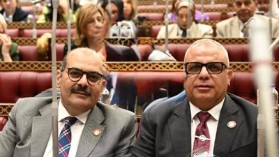 قيادة جديدة لهيئة «حماة الوطن» البرلمانية بمجلس الشيوخ: شوكت رئيساً وصلاح نائباً