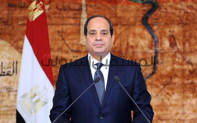 السيسي: نحن نقاتل في التفاوض للحفاظ على حقوق مصر في أزمة سد النهضة