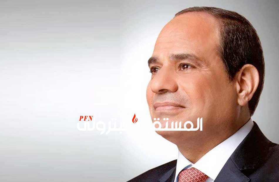 الرئيس السيسي : لايوجد مساجين رأي في مصر