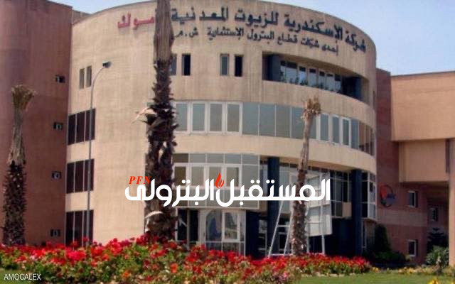 أرباح "أموك" ترتفع 6% إلى 423.2 مليون جنيه في الربع الأول