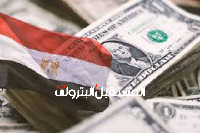 مصر تسدد 25 مليار دولار من الدين العام منذ مارس الماضي