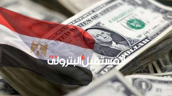 مصر تسدد 24 مليار دولار ديون خارجية خلال 9 شهور