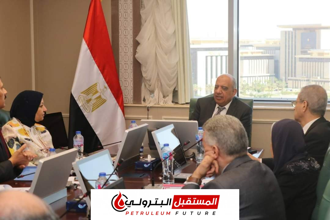 وزير الكهرباء : إعادة هيكلة الشركة المصرية كمشغل مستقل لمنظومة نقل الكهرباء